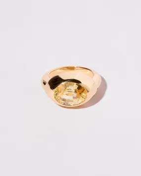 Antlia Ring - Final Sale