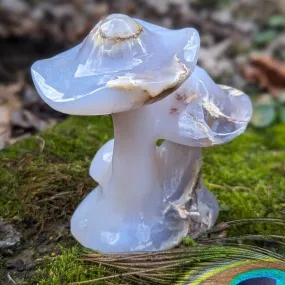 Blue Chalcedony Mushroom Carving ~ Spring Mushrooms ~ Mushroom Crystal Carving