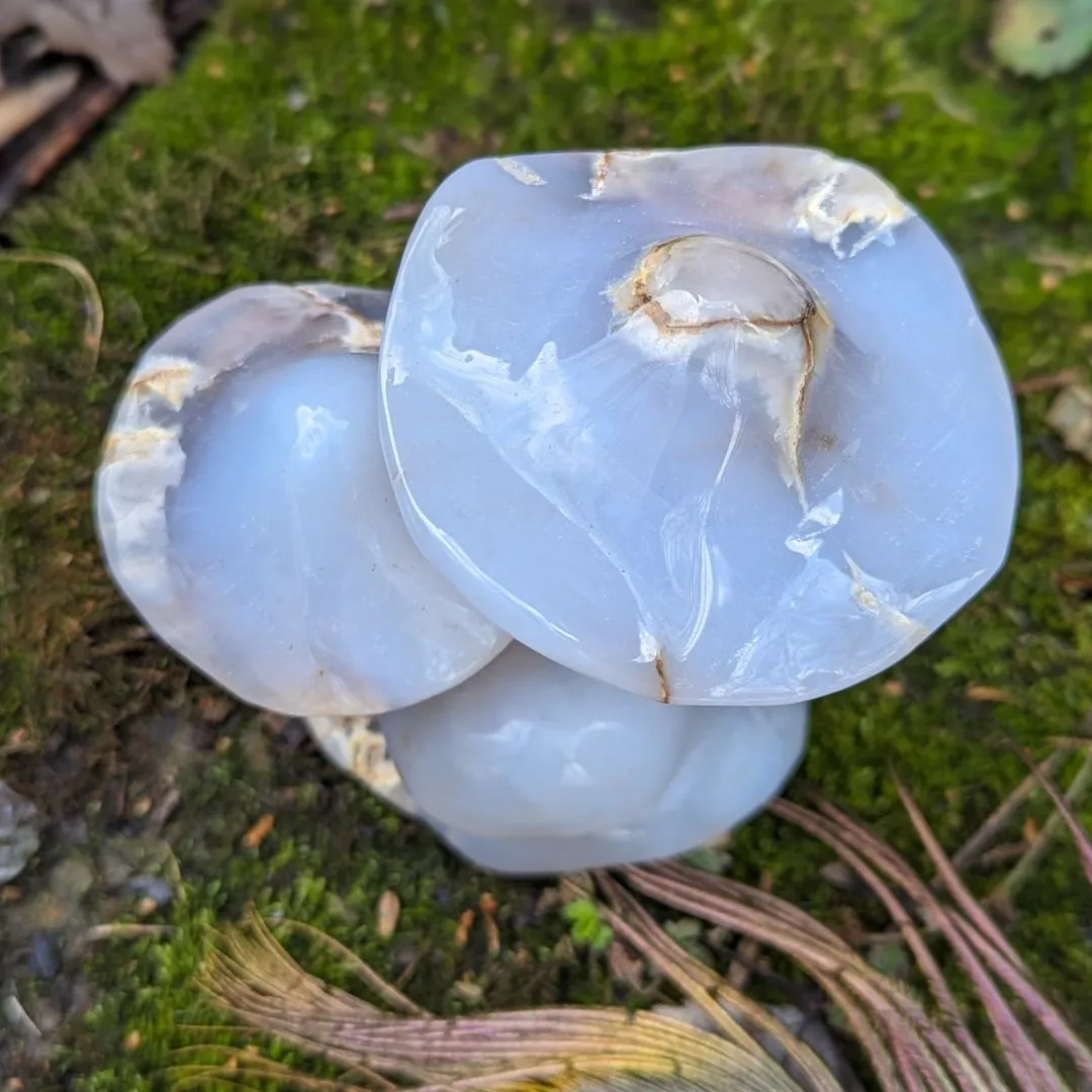 Blue Chalcedony Mushroom Carving ~ Spring Mushrooms ~ Mushroom Crystal Carving