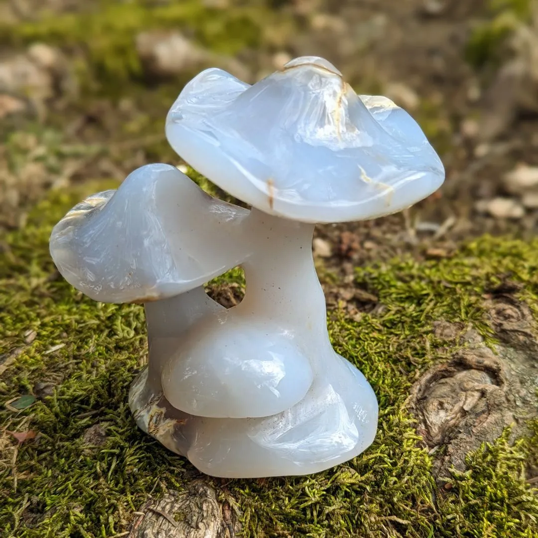 Blue Chalcedony Mushroom Carving ~ Spring Mushrooms ~ Mushroom Crystal Carving