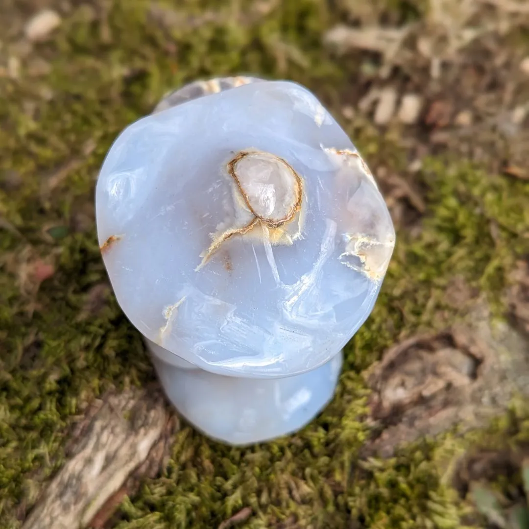 Blue Chalcedony Mushroom Carving ~ Spring Mushrooms ~ Mushroom Crystal Carving