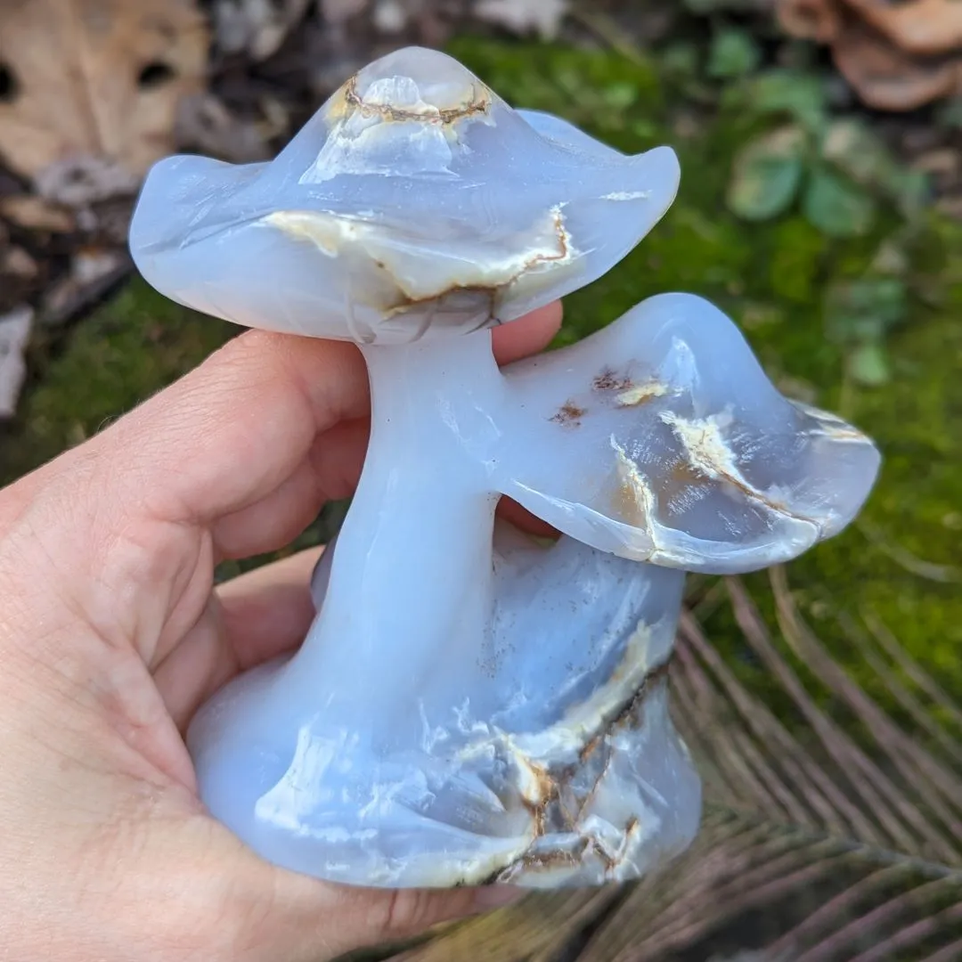 Blue Chalcedony Mushroom Carving ~ Spring Mushrooms ~ Mushroom Crystal Carving