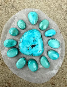 Kingman Turquoise (Arizona) 13 Piece Freeform Cabochon Set