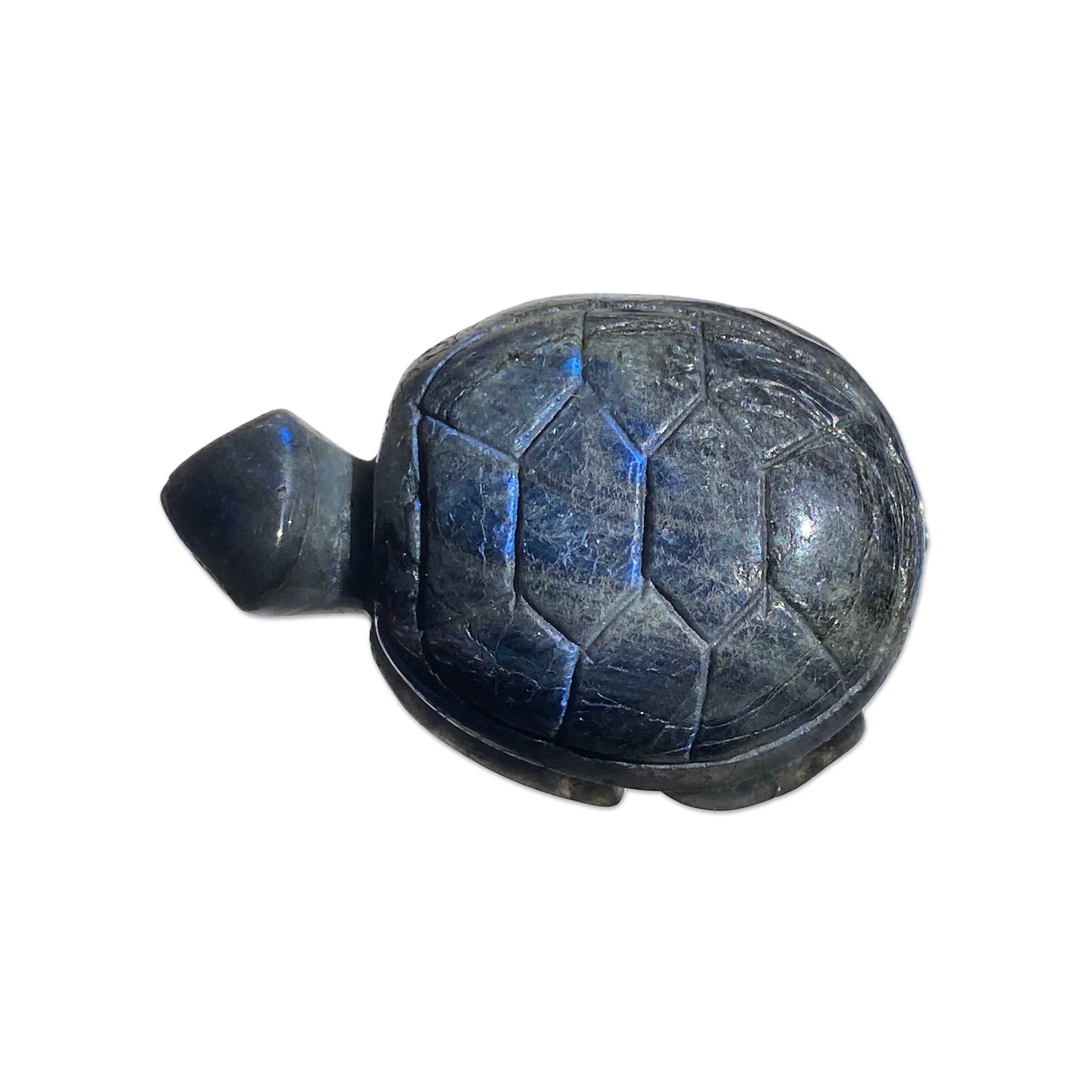 Natural Carved labradorite gemstone tortoise Reiki healing