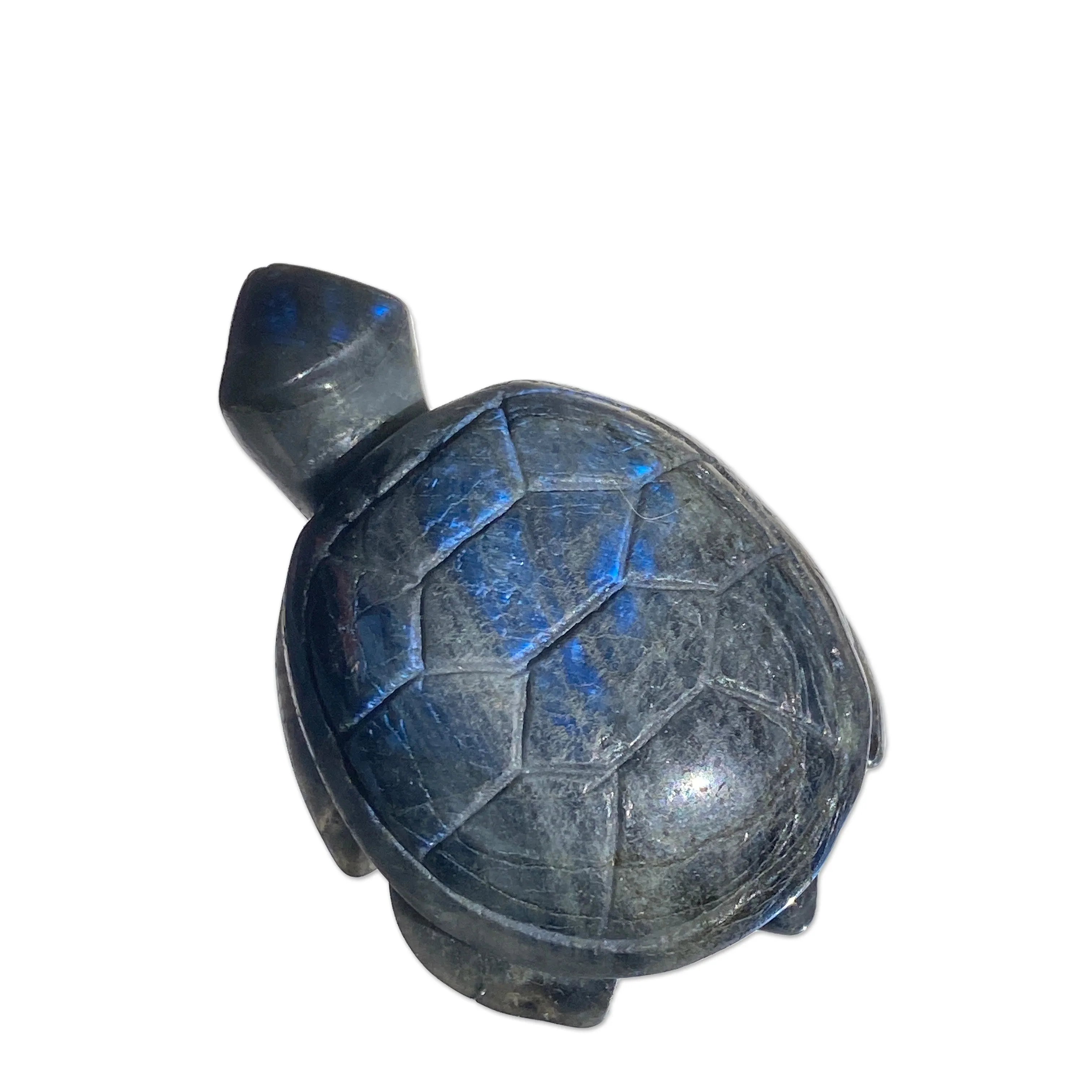 Natural Carved labradorite gemstone tortoise Reiki healing